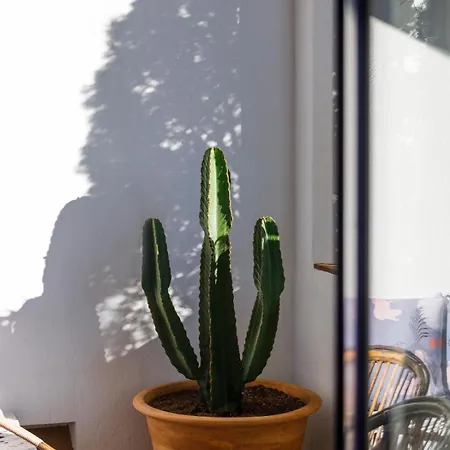 فندق Casa Nereta