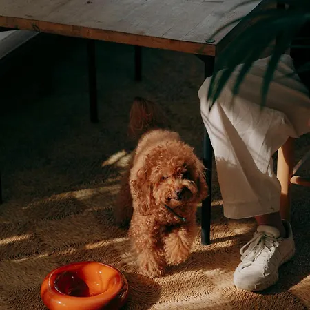 فندق Casa Nereta