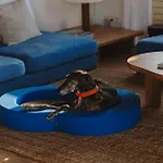 Hotel Casa Nereta