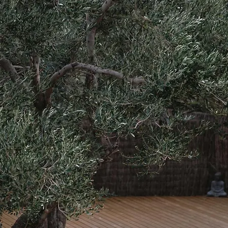 Hotel Casa Nereta Cadaqués